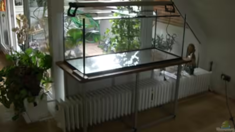 Das Becken leer von Dr. Dr. Kliem (8)