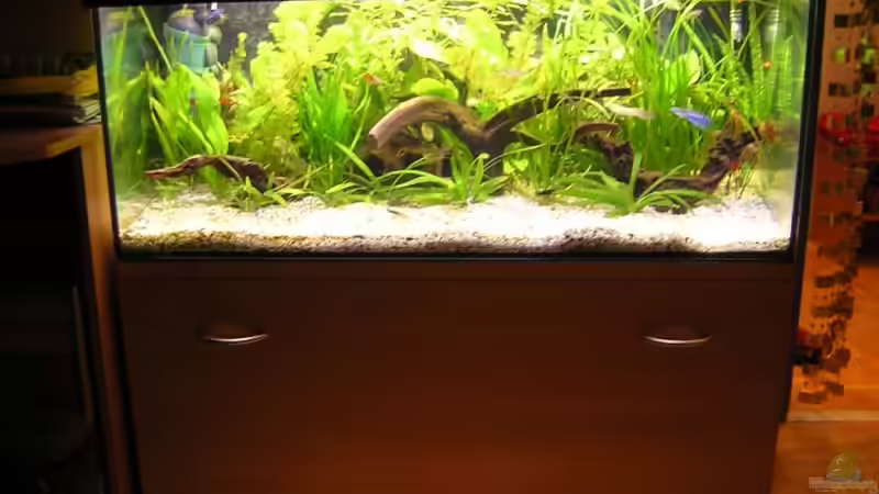 Das Becken mit meinem selbst gebauten Unterschrank von Daniela Rathgeb (7)