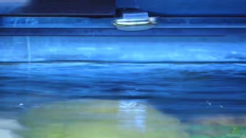 Das Becken mit Mondlicht  von am1482 (2)