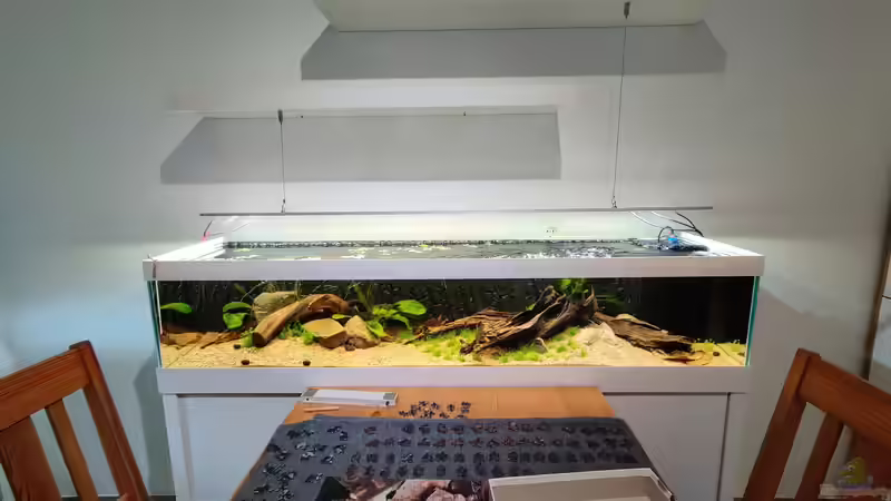 Das Becken nach ein paar Tagen von xpate (3)