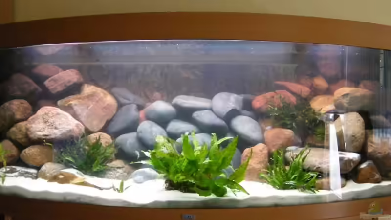 Das Becken nach Totalumbau ! von Torsten Uhland (1)