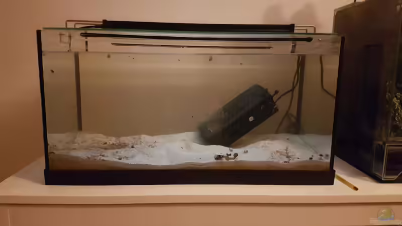 Das Becken nachdem alles ausgeräumt wurde von southheart (2)