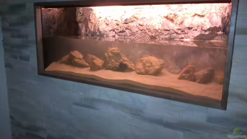 Das Becken sieht das erste mal Wasser von bergstrasse (4)