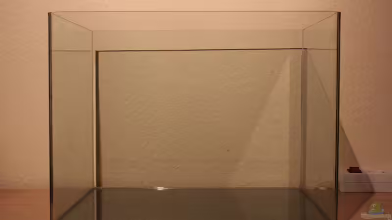 Das Becken steht. von X-Rayminator (2)