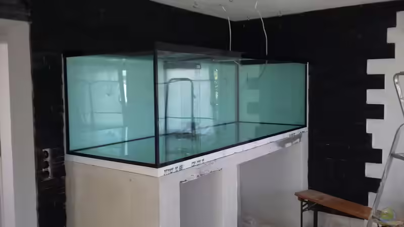 Das Becken steht von T-Aquatics (5)