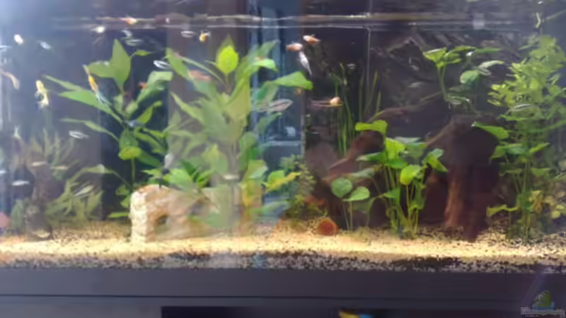 Das Becken von Andy Klein 86 (3)