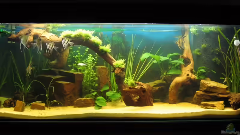 Das Becken von Anna und Christian von Christian Messner (1)