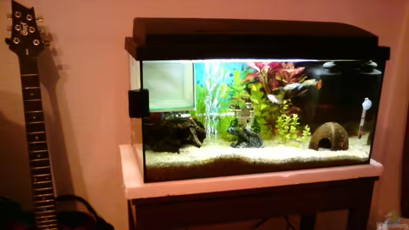 das Becken von DaVeyD (2)