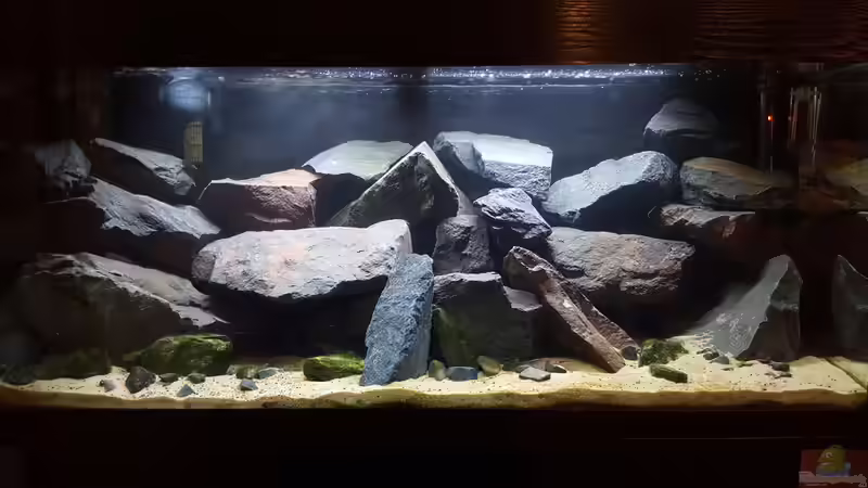 Das Becken von Ebi (1)