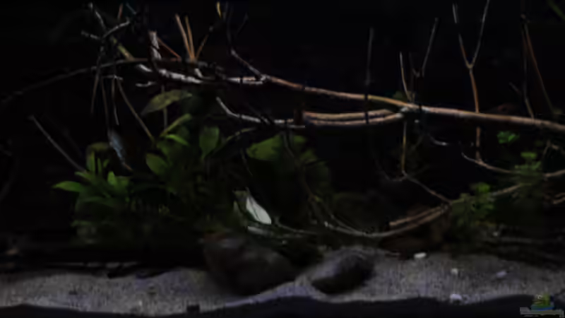 Das Becken von Florian Bandhauer (6)