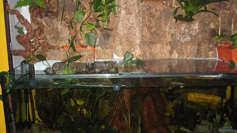 Das Becken von Jens Krause (1)