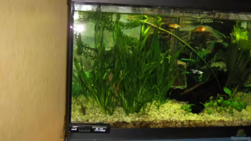 Das Becken von links von Dennis Jaaks (3)