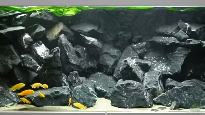 Das Becken von Manfred B. (1)