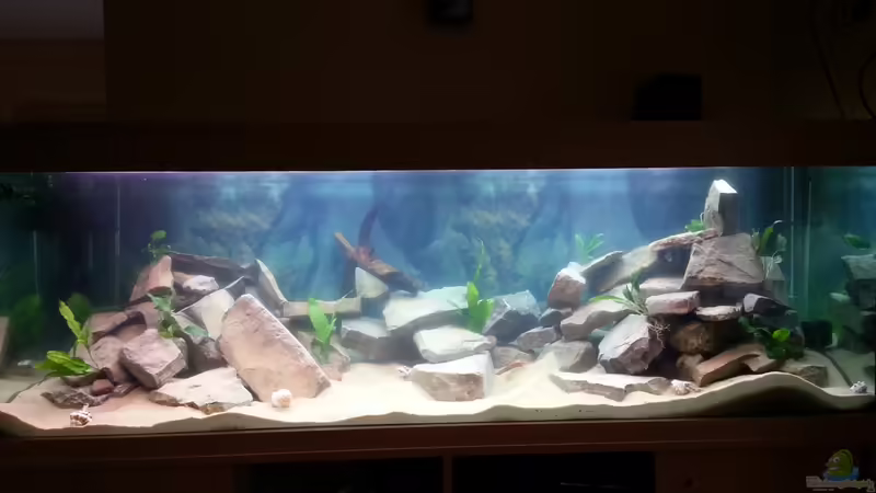 Das Becken von Marcus E.