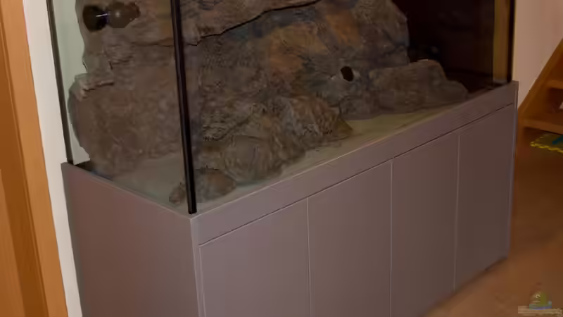 Das Becken von Markus Walter (2)