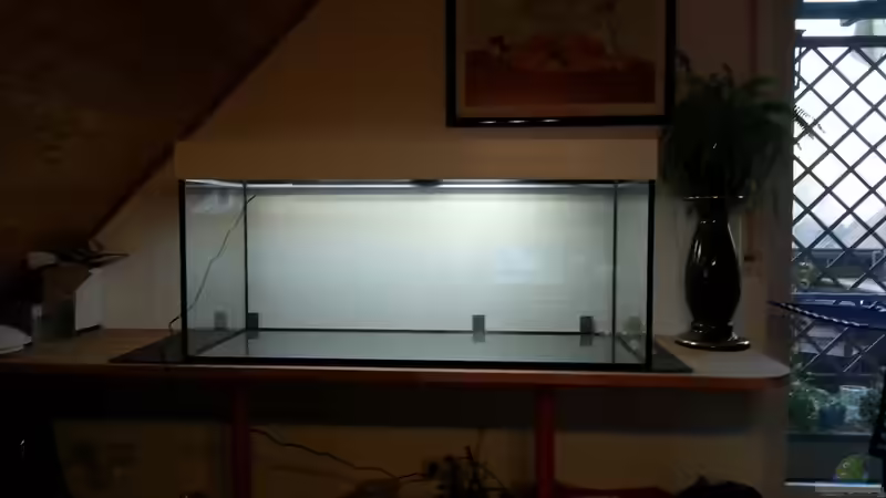 Das Becken von Michael Boeck (2)