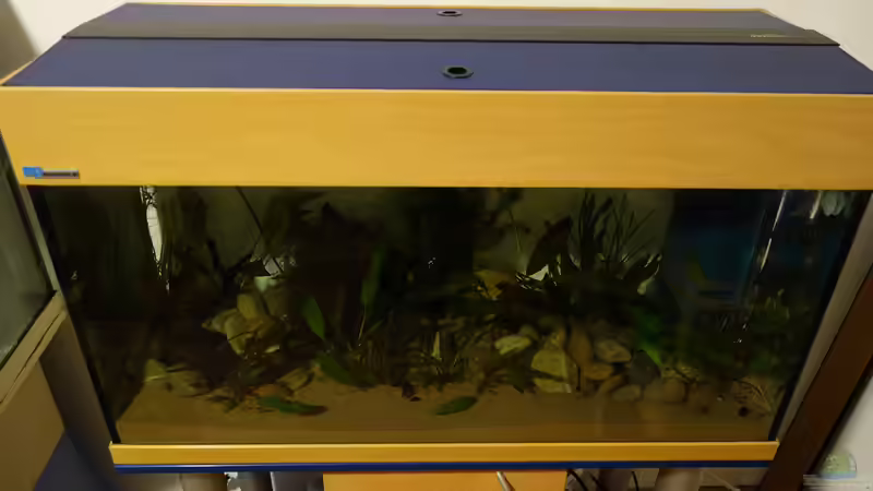 Das Becken von Oben ...  von NOWI1976 (3)