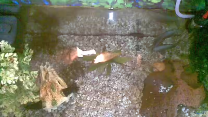 Das Becken von oben von Andy_L (2)