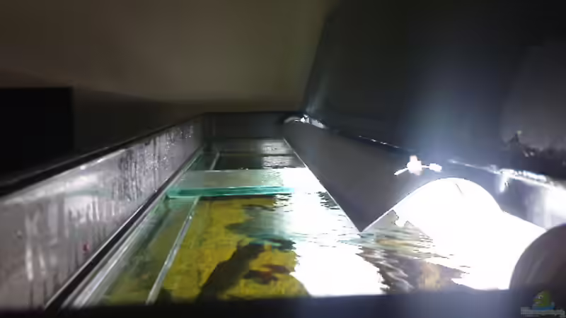 Das Becken von oben (vordere Abdeckung) von Stgt.WEST (6)