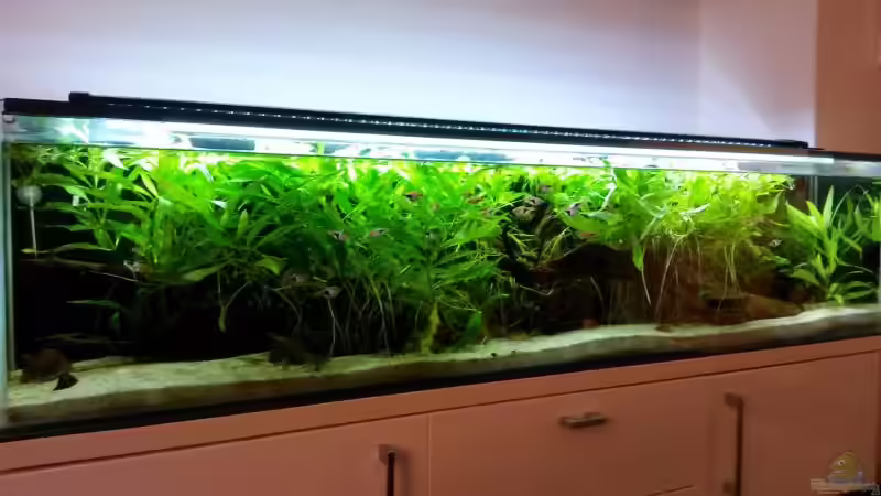 Das Becken vor...  von Berlin42 (26)