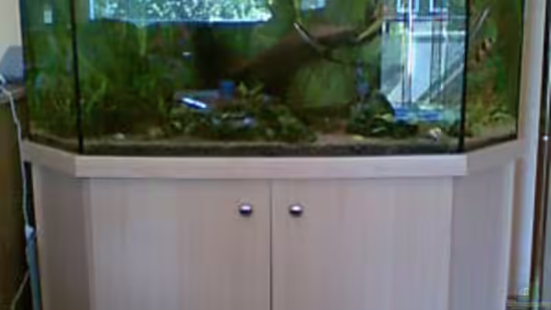 Das Becken vor dem Umbau  von Malaw!K!d (2)