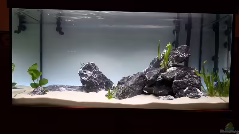 Das Becken während der Einlaufphase  von feld81 (3)