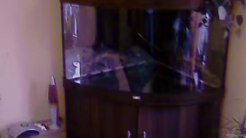 Das Becken wie es einst mal nackig war ;-) von Jessy L. (2)