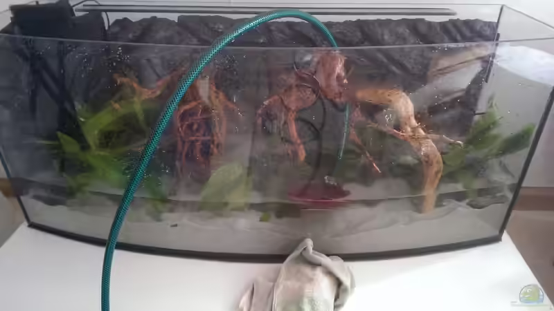 das Becken wird gefüllt :) von Harry Nemitz (9)