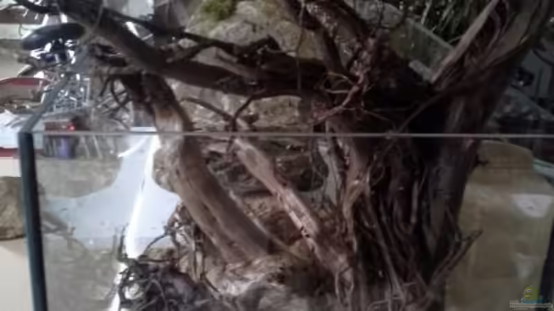 Das Becken wird später im Wohnraum von allen Seiten einsehbar sein.  von Markaroni (49)