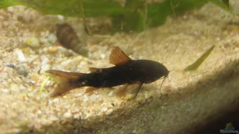 Das Bild entstand fast direkt nach dem Einzug von chrisi01 (39)