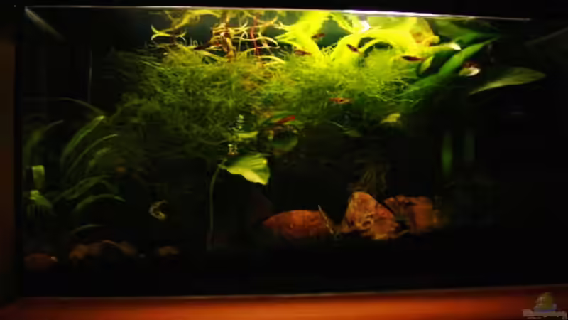 das Bild ist alt und nicht mehr aktuell es hat sich Einiges verändert von Malte Horlitz