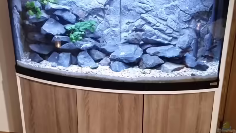 Das Bild ist noch mit dem alten Malawi Besatz... Neue Bilder folgen in den nächsten von DomDom