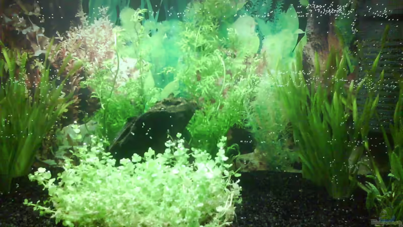 Das Bild zeigt die erste Beckeneinrichtung von Christina Müller (1)