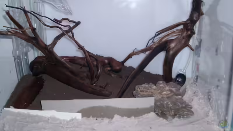 Das Drehen und Wenden, bis sich ein Gefühl von Gefallen einstellt. von tsmeey (10)