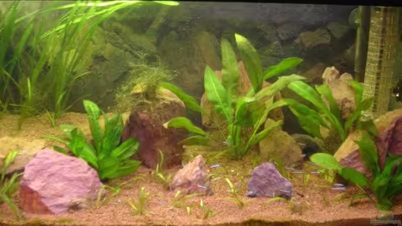 Das Einrichtungsbeispiel muss... mind. 15 Bildunterschriften enthalten. von Die Juli (3)