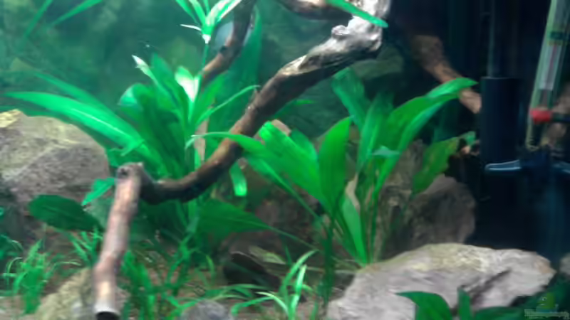 Das Einrichtungsbeispiel muss... mind. 15 Bildunterschriften enthalten. von Die Juli (38)