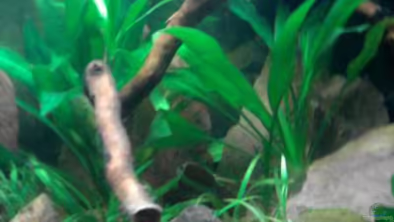 Das Einrichtungsbeispiel muss... mind. 15 Bildunterschriften enthalten. von Die Juli (48)