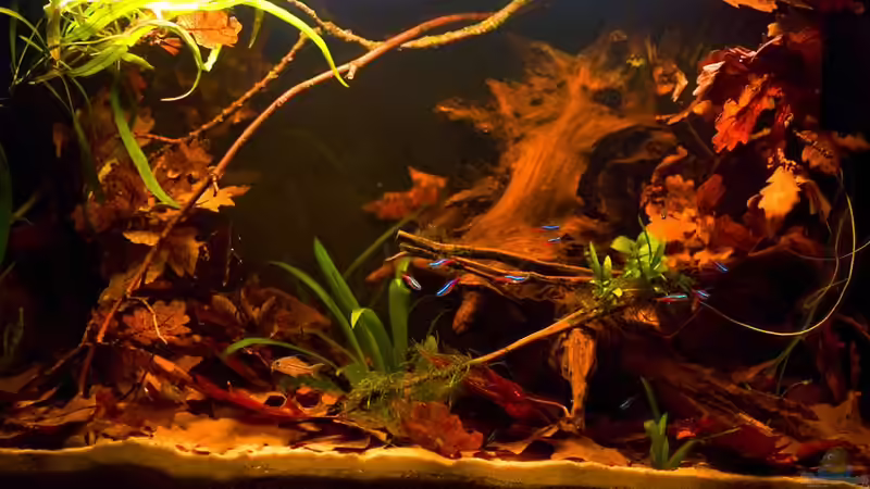 Das Endergebnis von Benjamin Hamann (1)