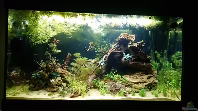 Das Ergebnis der Zusammenlegung  von Wasserwelten (4)