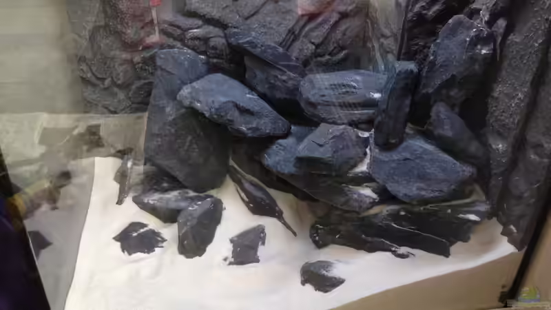 das Ergebnis von Lothar_Fuchs (9)