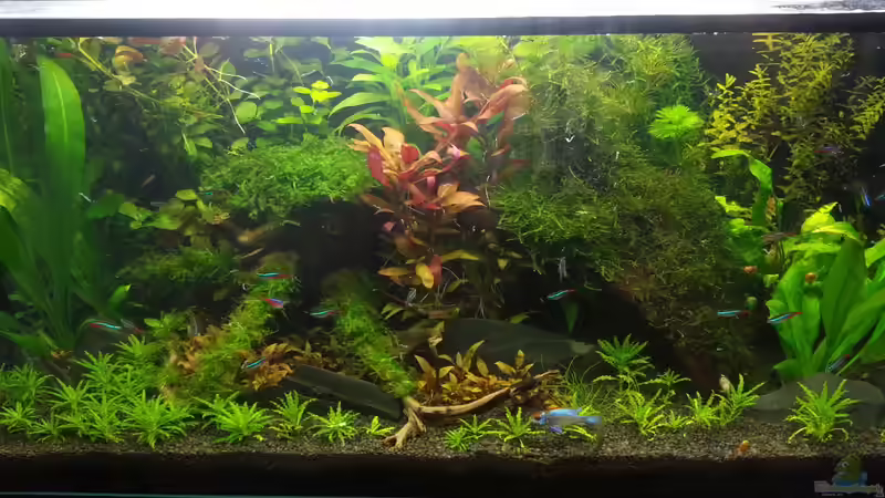 Das Ergebniss von Marcel Witt (4)