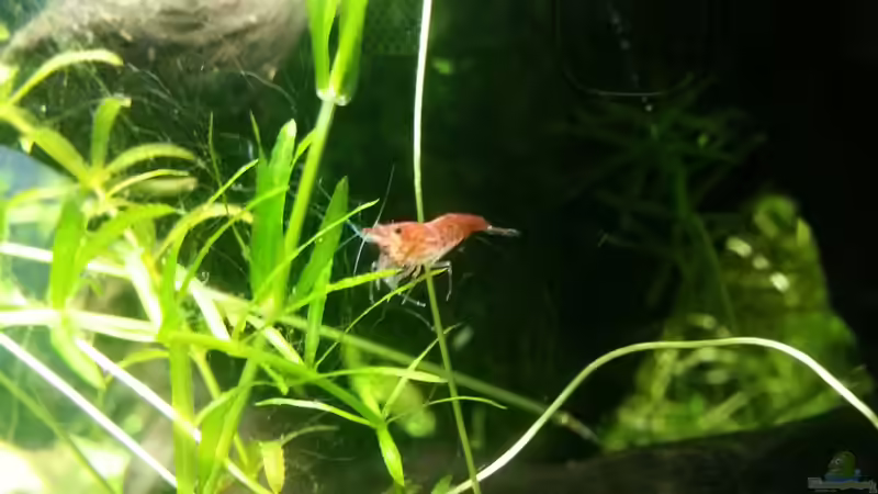 Das erste Bild der neuen Bewohner 20.12.12 von M to the ilan (41)