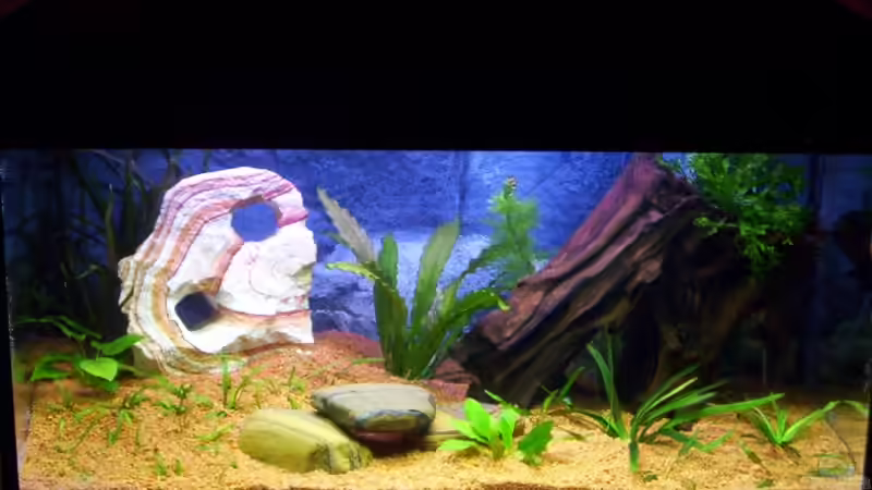 Das erste Bild nach der Einrichtung in 2005 von Ralf Franke (8)