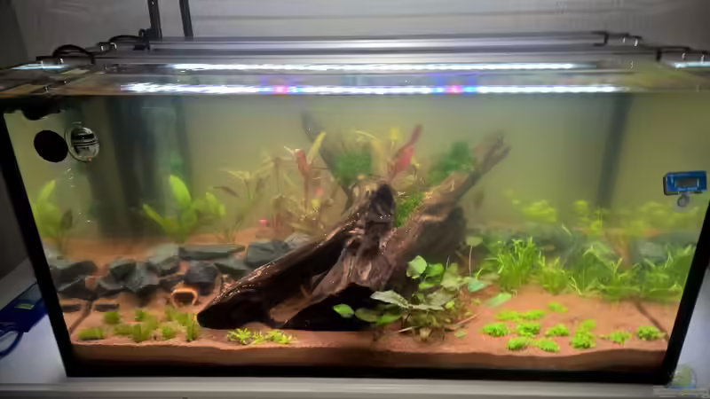 Das erste Bild nach der Neueinrichtung von DerWiesbadener (3)