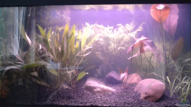 Das erste Bild! von Tobias Breuer