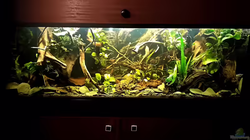 Das erste Foto am Anfang ohne Durchbruch von Bermuda 3eck (37)