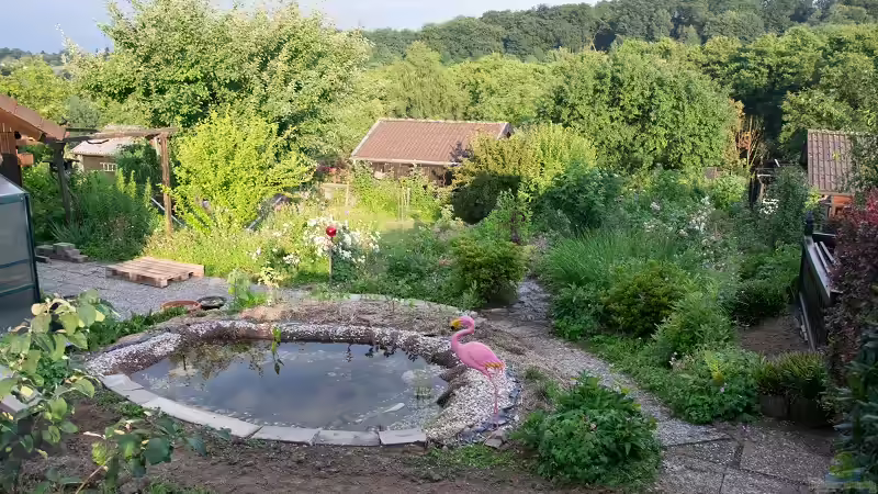 Das erste Grün um den Teich 16.06.2018 von Acki50 (13)