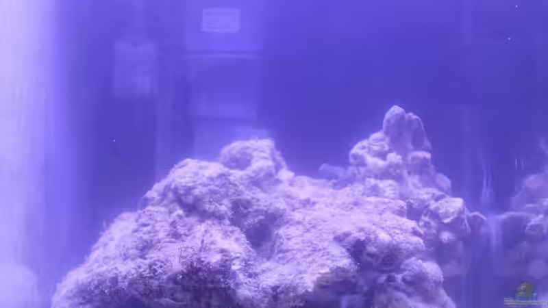 Das erste (halbwegs) klare Bild. von chrisi01 (7)