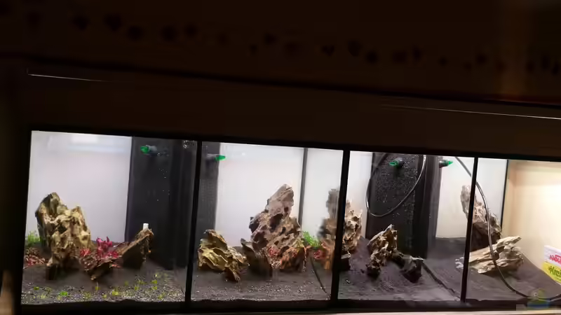 das erste läuft von Lucky3310 (6)