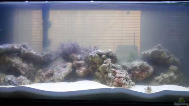 das erste mal halbwegs klar von FrischFisch (4)